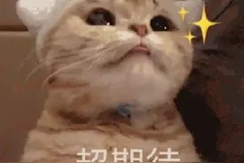 文艺特长生，39所高中招生启动！可降分录取图片