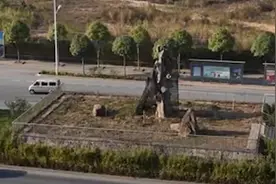 广西403岁“钉子树”死亡，曾为它更改城市道路规划视频封面