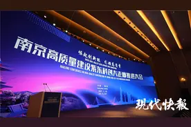 南京市委书记现场部署拎重点，崛起中的紫东今年建设目标已排定图片