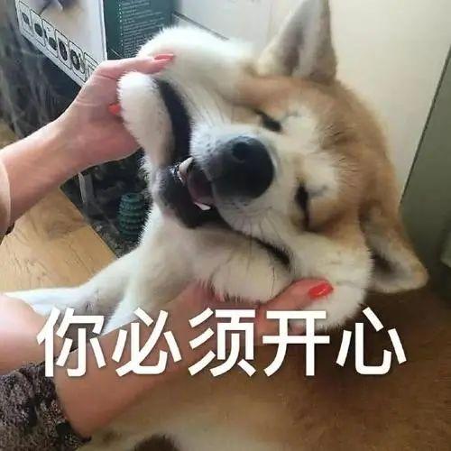 网红玩具被检出有毒物质，几克或致婴儿死亡