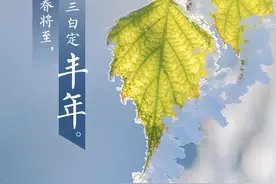 今日，大寒！冬尽春将至图片