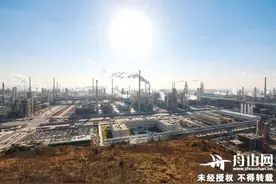 新年走企业丨浙石化，掀起石化产业一江春潮图片