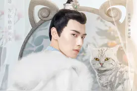 《我的宠物少将军》上演“喵星王子”与“甜心铲屎官”爱情图片