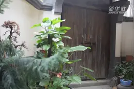 福州壶山林氏 百年传承践行中医之道视频封面
