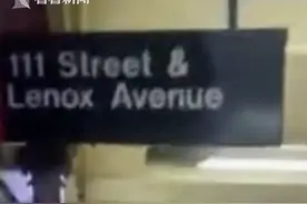 美国男子地铁站推人落轨 下一秒自己触电身亡图片