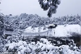 四季之歌 | 寒极迎岁始复来图片