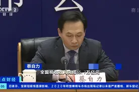 国家税务总局：2020年全国税收收入超13万亿元，圆满完成目标图片