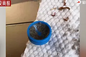 湖南一居民家自来水现大量活虫？自来水厂解释原因图片