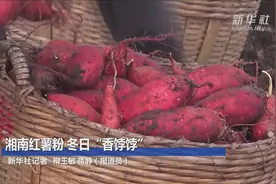 湘南红薯粉 冬日“香饽饽”视频封面