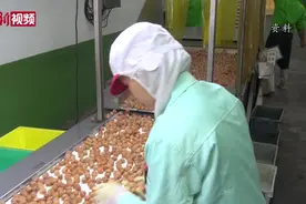 发补贴又加薪 福州4亿元奖补号召员工留下过年视频封面