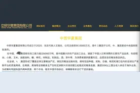 潜望丨国企挂靠江湖调查：假央企上演变形记，黑掮客游走灰色地带图片