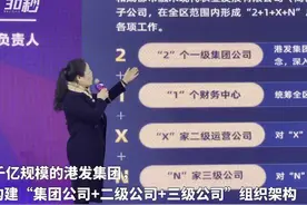 成都市青白江区整合国有资源 千亿规模的国有企业“上线”视频封面