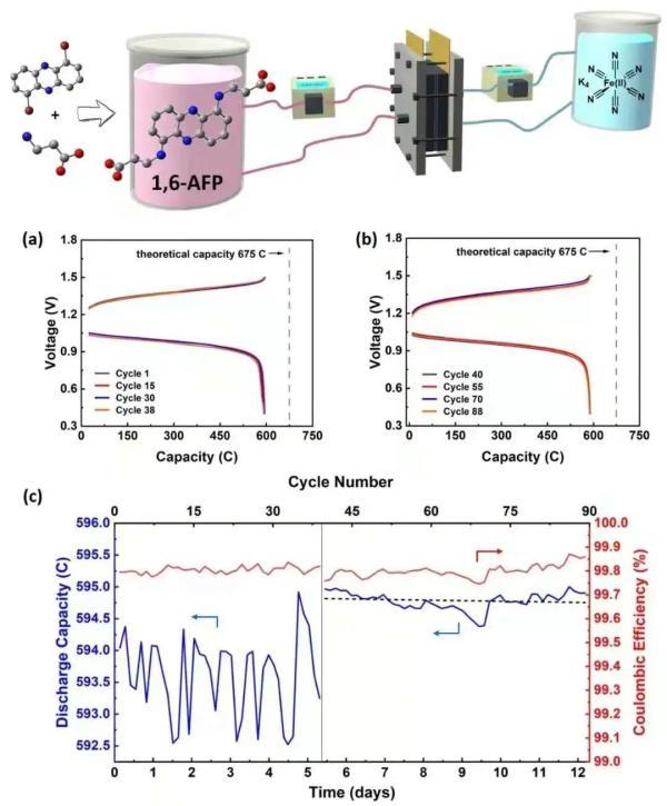 新纪录！西湖大学利用氨基酸实现高储能