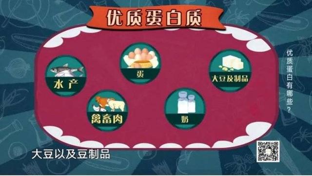 蛋白质还会有损健康？哪些食物含优质蛋白？