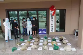 海关发布2020年打击走私十大典型案例图片