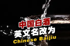“Chinese Baijiu”来了！网友：四六级有戏了图片