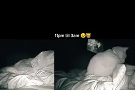 猫咪深夜捶打主人4小时，主人：终于知道自己白天疲惫的原因视频封面