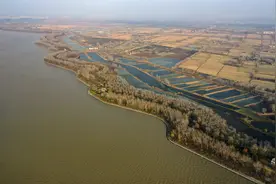 千问千寻大运河丨铁牛、壁虎、虾爬虫……运河边为何有这么多“神兽”图片