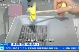 紧急提醒！加湿器千万不能这样用！可能造成肺部损伤...图片