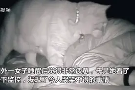 国外一女子半夜被猫“打”了四个小时，网友：猫咪能有什么坏心眼呢图片