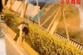 头撞墙、老虎钳、推下楼，西安这位虐待女儿的亲妈被判刑了……图片