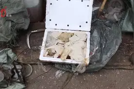 猎枪、子弹、钢丝套......男子持枪非法狩猎，梅花鹿、​狍子、野猪、紫貂......藏匿家中图片