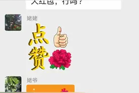 “相亲相爱一家人”群里，爸爸为啥不说话了？图片