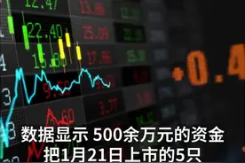 中国财富报道|5只“蚂蚁”创新未来基金上市首日齐奔涨停！基金公司火速提示风险