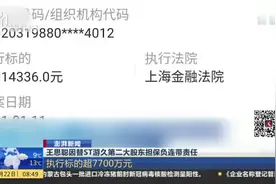 澎湃新闻：王思聪因替ST游久第二大股东担保负连带责任视频封面