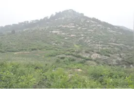 南阳伏羲时代星象岩画与柞蚕文化研究图片