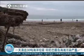 触目惊心！一天清出30吨海洋垃圾，印尼巴厘岛海滩污染严重视频封面