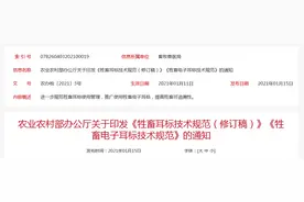 猪耳标粉红色，牛耳标浅黄色，羊耳标橙色……图片