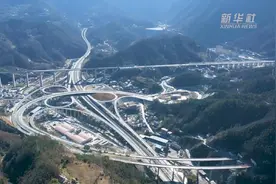湖北保康：多花1000万 高速建设为古树“让路”视频封面