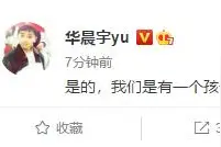 歌手华晨宇承认与张碧晨生子图片