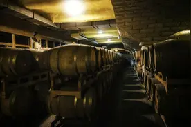 张裕罕见发布年度业绩下降预报，但仍是行业内利润最高图片