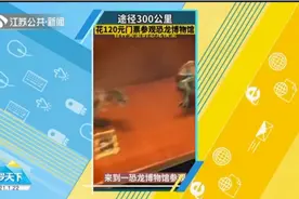 驱车300公里花120元看恐龙展，看到的却是塑料恐龙，一个比一个小视频封面