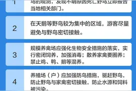 发现不明原因死亡野鸟立即报告！山东发布高致病性禽流感防控明白纸图片