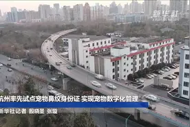 杭州率先试点宠物鼻纹身份证 实现宠物数字化管理视频封面