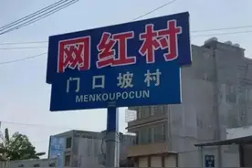 广西一村庄遭低俗直播团队私立“网红村”牌匾，政府约谈后取缔图片