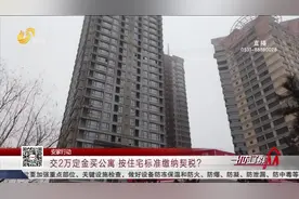 售楼处宣称按住宅标准交契税,女子交定金买公寓,一问相关部门傻眼视频封面