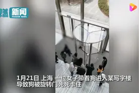 宠物狗被卡旋转门女子倒地哭喊！物业无奈拆门：违规进入还不牵绳图片