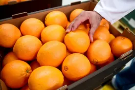 驻外手账 | 想带你去看晴空万里，想告诉你埃及的水果让人着迷图片