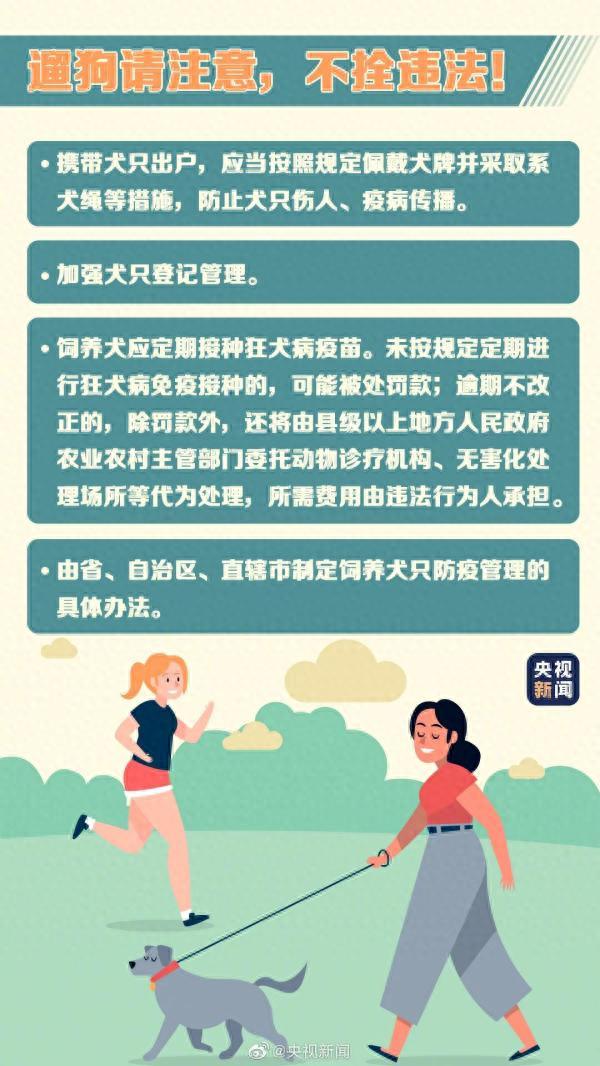 动物系列全逾期，动物防疫法遛狗拴绳