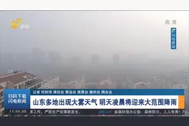 山东多地出现大雾天气，明天凌晨将迎来大范围降雨，局地有雨夹雪