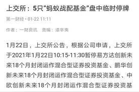 收益可观 5只“蚂蚁战配基金”可转场内卖图片
