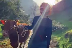 女大学生回乡创业养牛：从挑牛粪开始干起图片