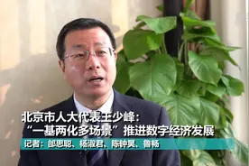 北京市人大代表王少峰：“一基两化多场景”推进数字经济发展视频封面