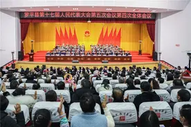 罗平县第十七届人民代表大会第五次会议胜利闭幕图片