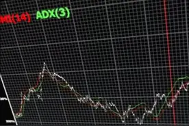 中国财富报道|“抱团”实锤！基金Q4仓位、持股集中度持续上升，重仓股TOP5有这些视频封面