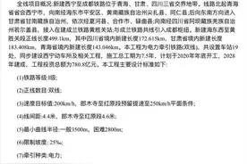 新建西宁至成都铁路第一次环评公示 开通后成都到西宁仅需4.5小时图片